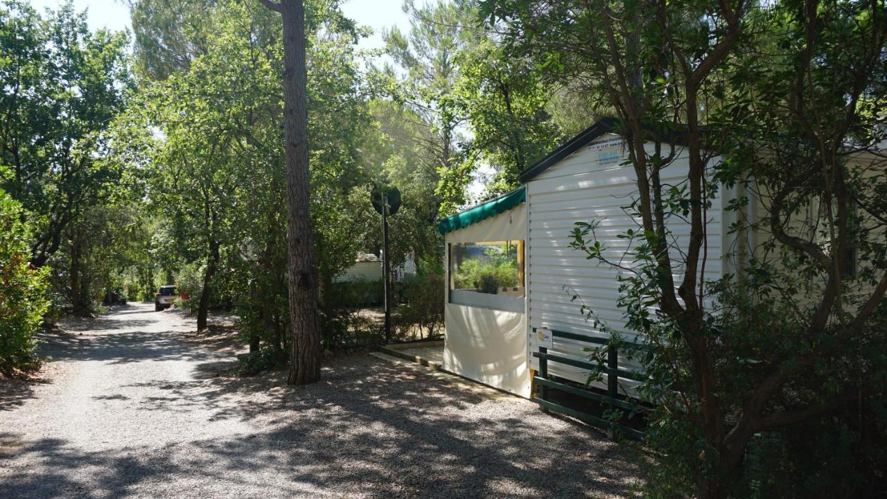 Chalets Met Buitenkeuken Op Camping Lei Suves - Joycasa Рокбрюн-сюр-Аржан Екстер'єр фото