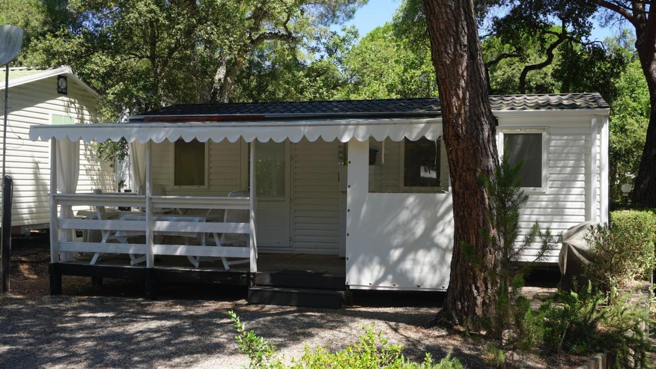 Chalets Met Buitenkeuken Op Camping Lei Suves - Joycasa Рокбрюн-сюр-Аржан Екстер'єр фото