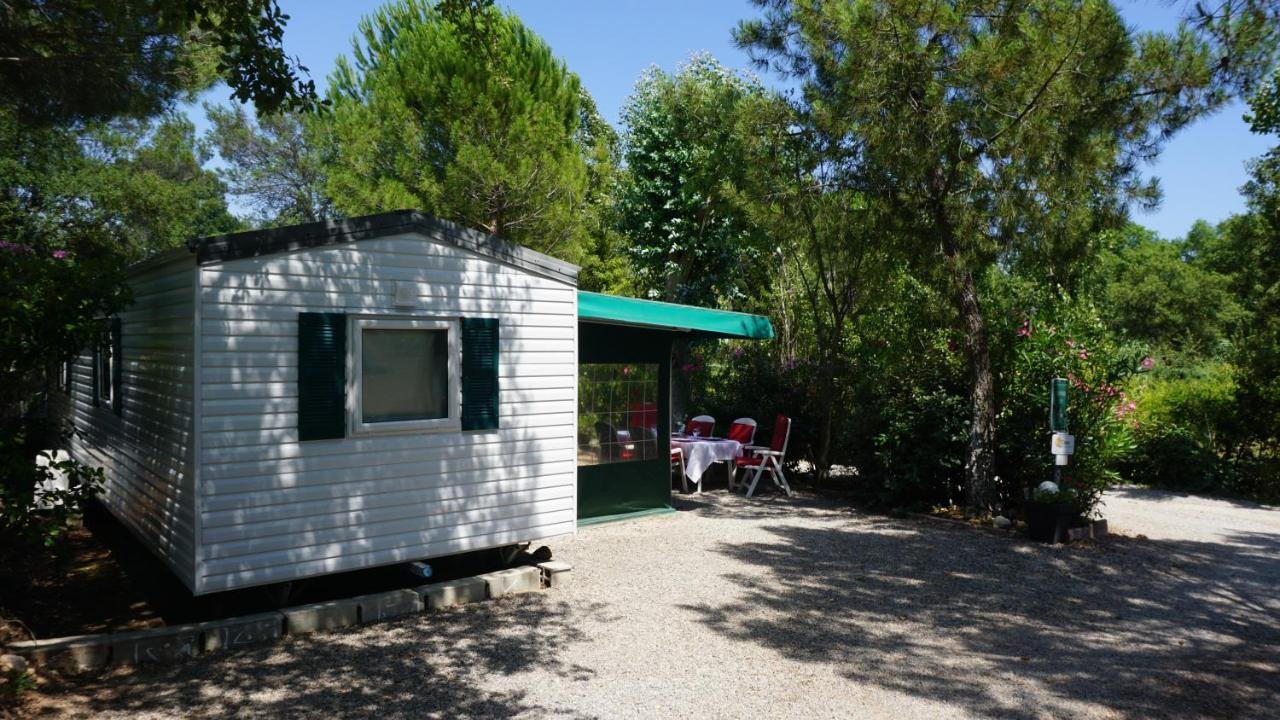 Chalets Met Buitenkeuken Op Camping Lei Suves - Joycasa Рокбрюн-сюр-Аржан Екстер'єр фото