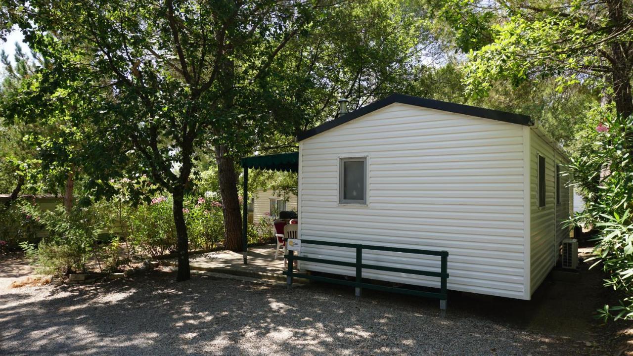 Chalets Met Buitenkeuken Op Camping Lei Suves - Joycasa Рокбрюн-сюр-Аржан Екстер'єр фото